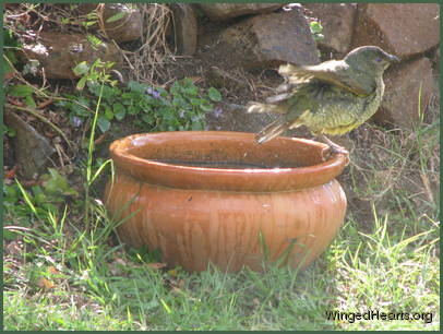 Having a sneak bath