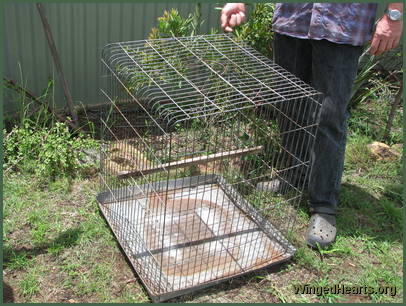 small cage