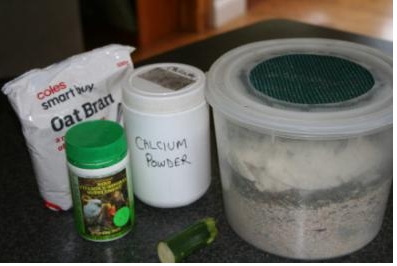 microbat food