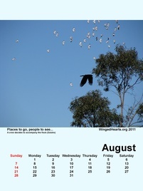 Aug-09