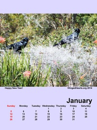 Winged Hearts Calendar 2013