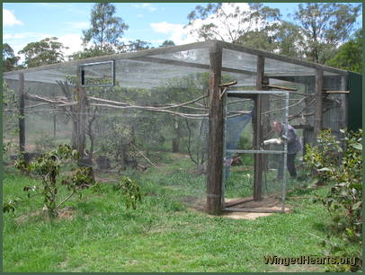 large aviary 2