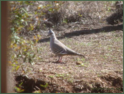 Through the glass door