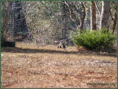 Phew! where should I go next?