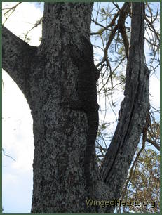 Perhaps if I can get higher